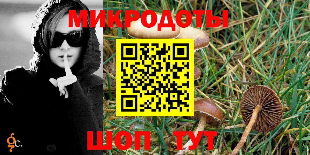 Псилоцибиновые грибы Psilocybine cubensis  Вход с VPN  Бийск 