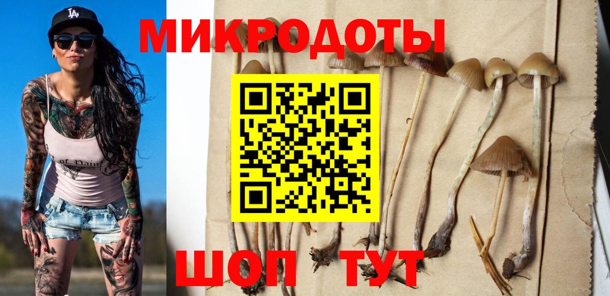 Псилоцибиновые грибы ЛСД Бийск